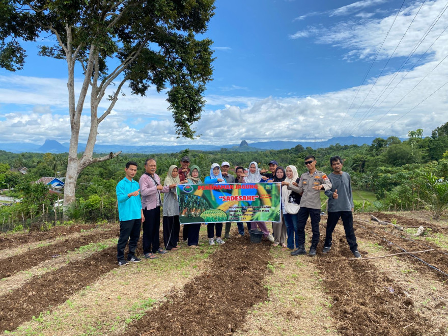 Sinergi TNI-Polri dan Pemerintah Desa Taba Mutung dalam Launching Penanaman Jagung Program SADESAHE